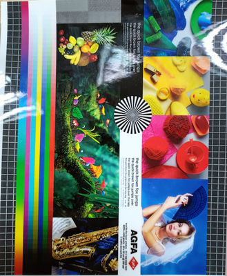 Harga yang bagus Panjang 200-4000m PET EVA Packaging Film 22 miu Matte/Gloss Brightness untuk Performance Packaging yang superior on line